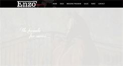 Desktop Screenshot of enzoltd.com